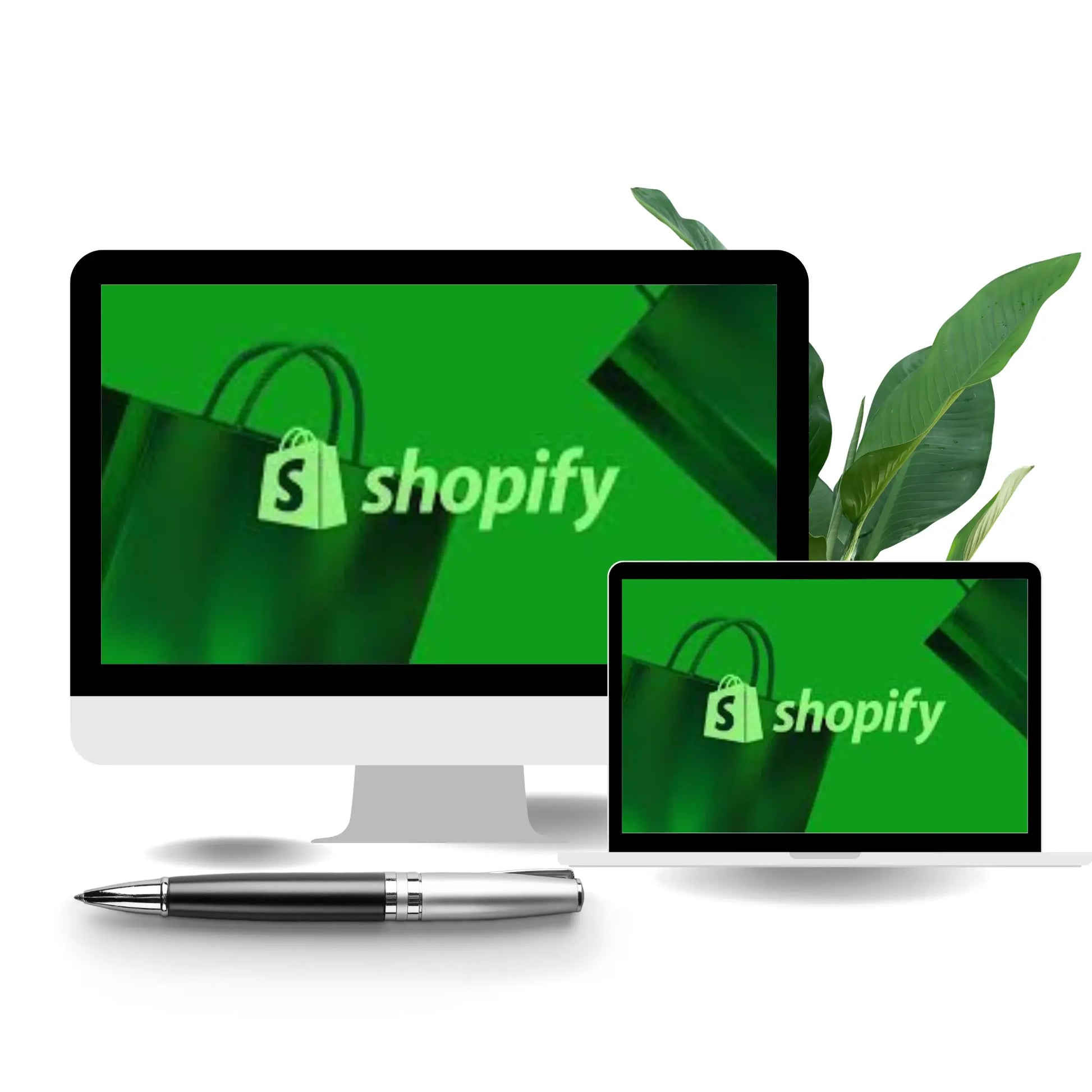 Shopify & Business Zoom LEVEL UP ACADEMY